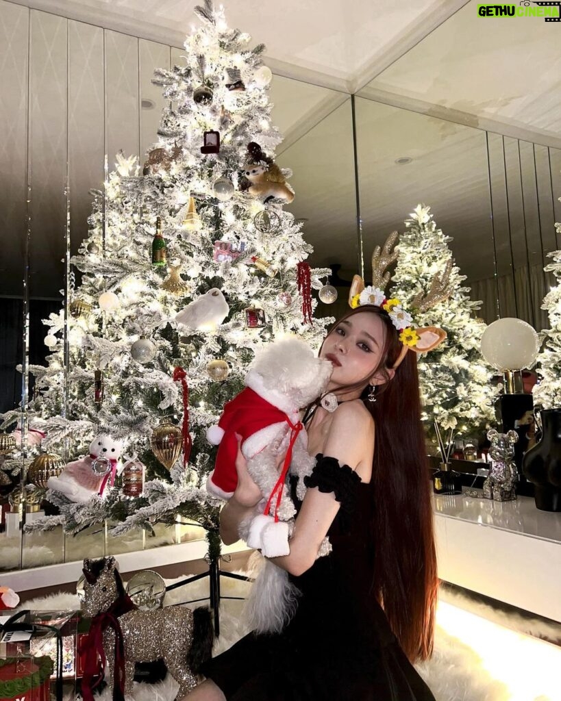 Song Jia Instagram - 🎄✨♥️🍷