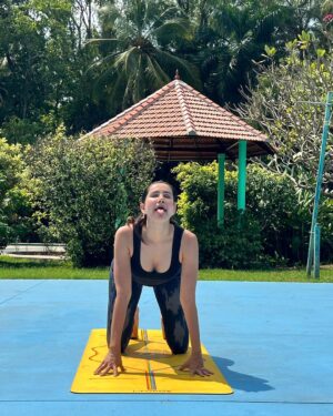 Sonnalli Seygall Instagram - Choose the correct order & vote! 
(Last photo just for kicks. Ignore)
A. Eagle pose, Lion pose, Cat pose, Lizard pose
B. Lion pose, Lizard pose, Cat pose, Eagle pose
C. Lizard pose, Cat pose, Eagle pose, Lion pose