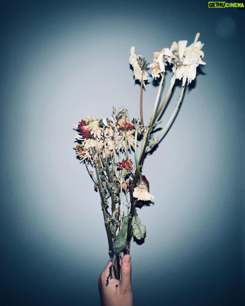Sophie Fergi Instagram - Corpse bride 🕷🥀 Tim Burton