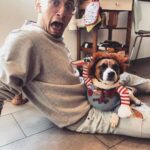 Stefano Lepri Instagram - Gli scatti che pubblica mia sorella sui social network 😂 .. se avete una femmina di JackRussel in calore contattate @gordonautilus perché lui è single e costantemente in calore come potete immaginare 😅 tra l’altro è vergine quindi sarà il principe azzurro irraggiungibile di questo 2020 per la vostra dolce cucciola .. mia sorella non mi ha minimamente incitato a fare questo post 282/366 #jackrussell #gordonautilus #gordonthejackrussell #chucky #chuckydoll