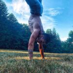 Stefano Lepri Instagram - 663/542 ɐʇsǝɹ ıɔ éɥɔuıɟ ɐɹɹǝʇ ɐl oıɔɔɐɹqqɐ