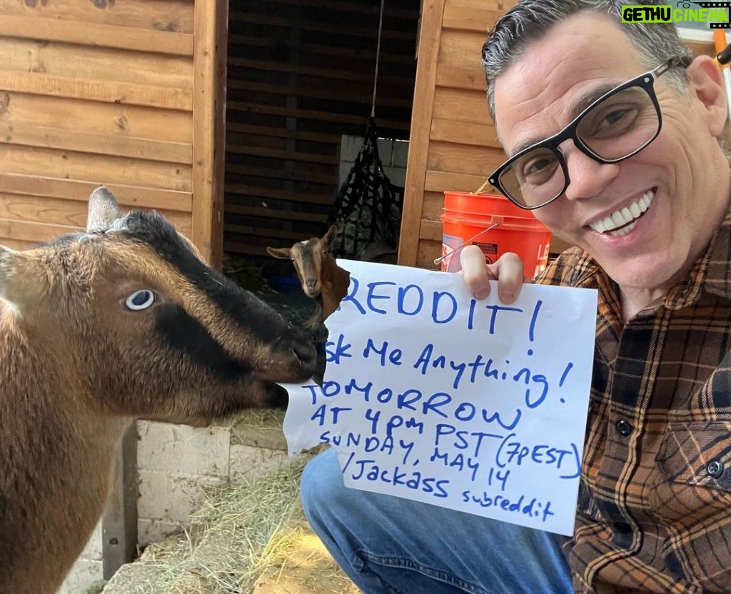 Steve-O Instagram - One of my goats is very interested in this announcement! Lots to talk about tomorrow, see you on Reddit!
