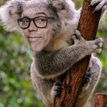 Steve-O Instagram - It’s been too long since I was in Australia and New Zealand, but I’m coming back! Swipe to see the dates, link in bio for tickets! (Photoshop by @mjr79 and tour art by @mikehillier_design)