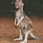 Steve-O Instagram - It’s been too long since I was in Australia and New Zealand, but I’m coming back! Swipe to see the dates, link in bio for tickets! (Photoshop by @mjr79 and tour art by @mikehillier_design)