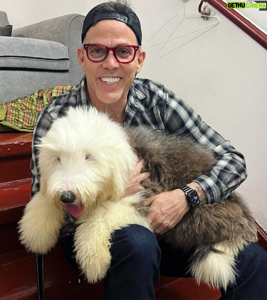 Steve-O Instagram - Since @wendyfromperu stopped traveling with me on tour (because she’s afraid of the bus), my Bucket List show now regularly features adoptable dogs from local shelters (like “Martha” here from @humanesocietyny). Swipe to see the final continental USA Bucket List tour dates (“new shows” go on sale tomorrow!) Yeah dude!!!