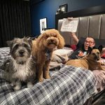 Steve-O Instagram - I hope you're ready for me, Reddit, because there is A LOT to get into this Sunday, Dec 3 at 1pm PST... Ask Me Anything!