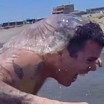 Steve-O Instagram - All I did was put these jellyfish on my head, and can you even believe it, they attacked me! Also, I know there are going to be people commenting about cruelty to jellyfish— GTFOH… they have no nervous system!