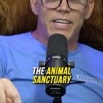 Steve-O Instagram - @steveo Is Starting an Animal Sanctuary:)