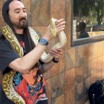 Steve Aoki Instagram - ❤️❤️❤️