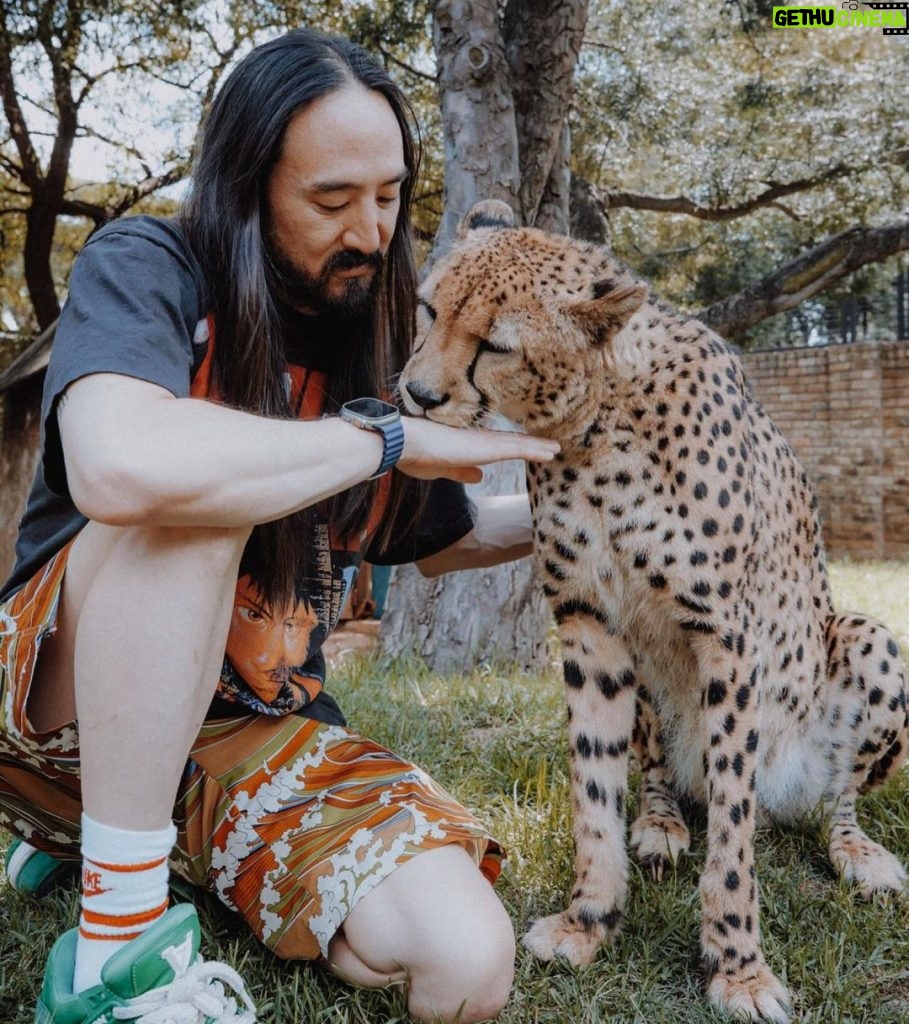Steve Aoki Instagram - We’re the fu😽king animals Johannesburg, South Africa