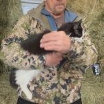 Steve Austin Instagram – Check in with Pancho the barn cat. 
Chicken story. Race season. 3:16 appearance. 
#cat #catsofinstagram #barncat 
#pancho #chicken #chickens 
#drama #story #beer #craftbeer 
@perraultfarms @esbcbrews 
@brokenskullbeer #316 
@valleyoffroadracingassociation
Correction-Feathers on his wing..