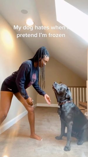Steve Harvey Instagram - 😂🐕‍🦺 

📹@jaleise_