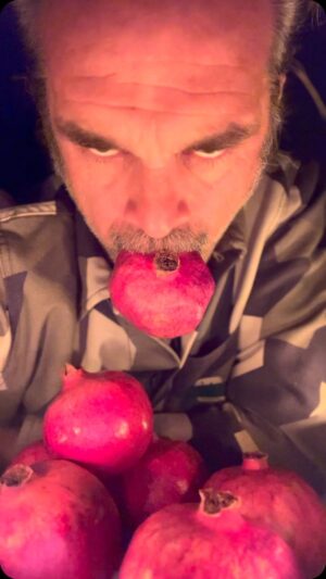 Steven Ogg Instagram - It’s beginning to
look a lot like
LIFE IN A NUTSHELL
Coming in 1994
to a streamer
to a theatre
to a VHS
near you!
#pomegranate