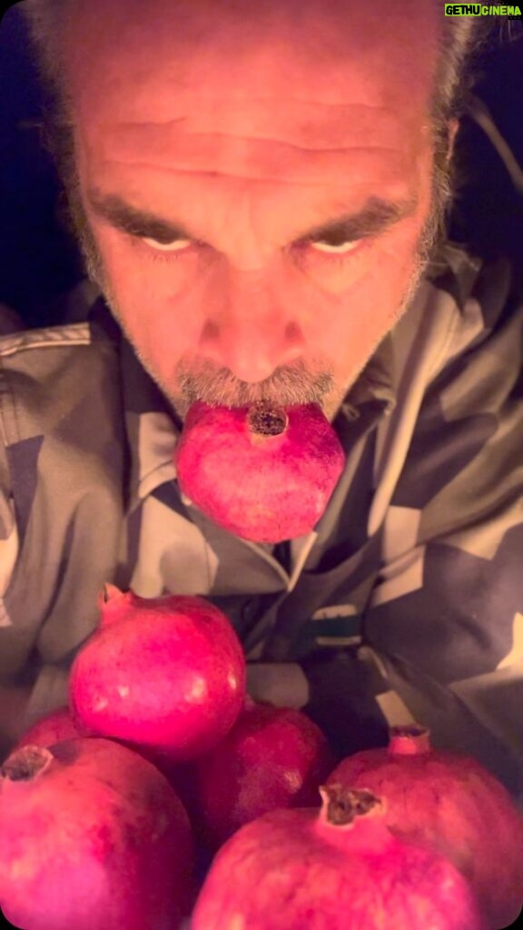 Steven Ogg Instagram - It’s beginning to look a lot like LIFE IN A NUTSHELL Coming in 1994 to a streamer to a theatre to a VHS near you! #pomegranate Nutshell
