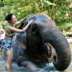 Sunayana Fozdar Instagram - These memories will stay with me forever 🐘🫶 They are Truly one of the most sensitive and emotional Mammals,they instantly catch vibes and energies and respond accordingly ! Being able to come so up close and personal with Tyra and her 2 year old baby was So humbling 🥺 #elephantmudbath experience at Bali was Pure Magic!!!! Thank You @kunalbhambwani for the Best birthday Gift❤️💃🏻