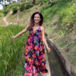 Sunayana Fozdar Instagram - No Matter where I Travel …Always Desi at Heart ❤️ Loved my Filmy Moment at the Scenic 👉🏼Tegallalang rice terraces! Such a scenic Spot and has the famous Ubud swing right above it!!!!