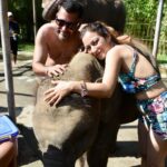 Sunayana Fozdar Instagram - These memories will stay with me forever 🐘🫶 They are Truly one of the most sensitive and emotional Mammals,they instantly catch vibes and energies and respond accordingly ! Being able to come so up close and personal with Tyra and her 2 year old baby was So humbling 🥺 #elephantmudbath experience at Bali was Pure Magic!!!! Thank You @kunalbhambwani for the Best birthday Gift❤️💃🏻