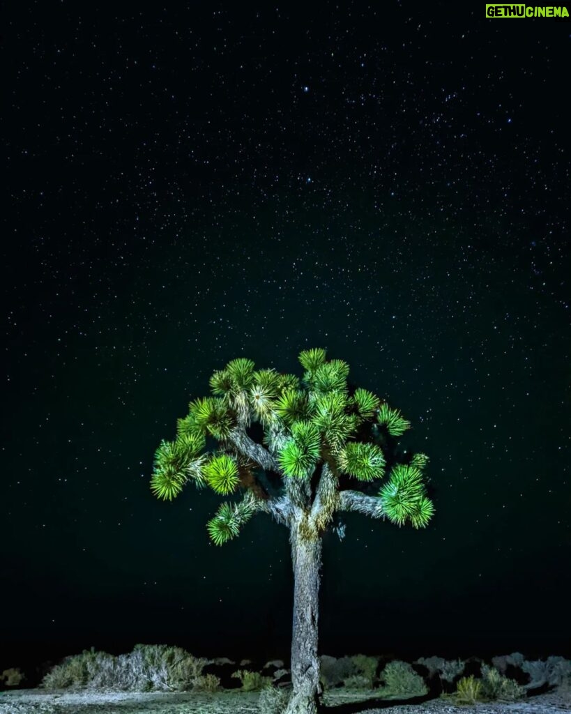 Sundar Pichai Instagram - Beautiful #TeamPixel photos of our stunning planet -- another reminder that we must protect it. #EarthDay 📷: @jeremiahbonds @miguellangell__ @themalibuartist @patrickkolts