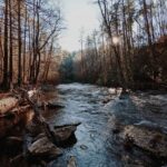 Sundar Pichai Instagram - Beautiful #TeamPixel photos of our stunning planet -- another reminder that we must protect it. #EarthDay 📷: @jeremiahbonds @miguellangell__ @themalibuartist @patrickkolts