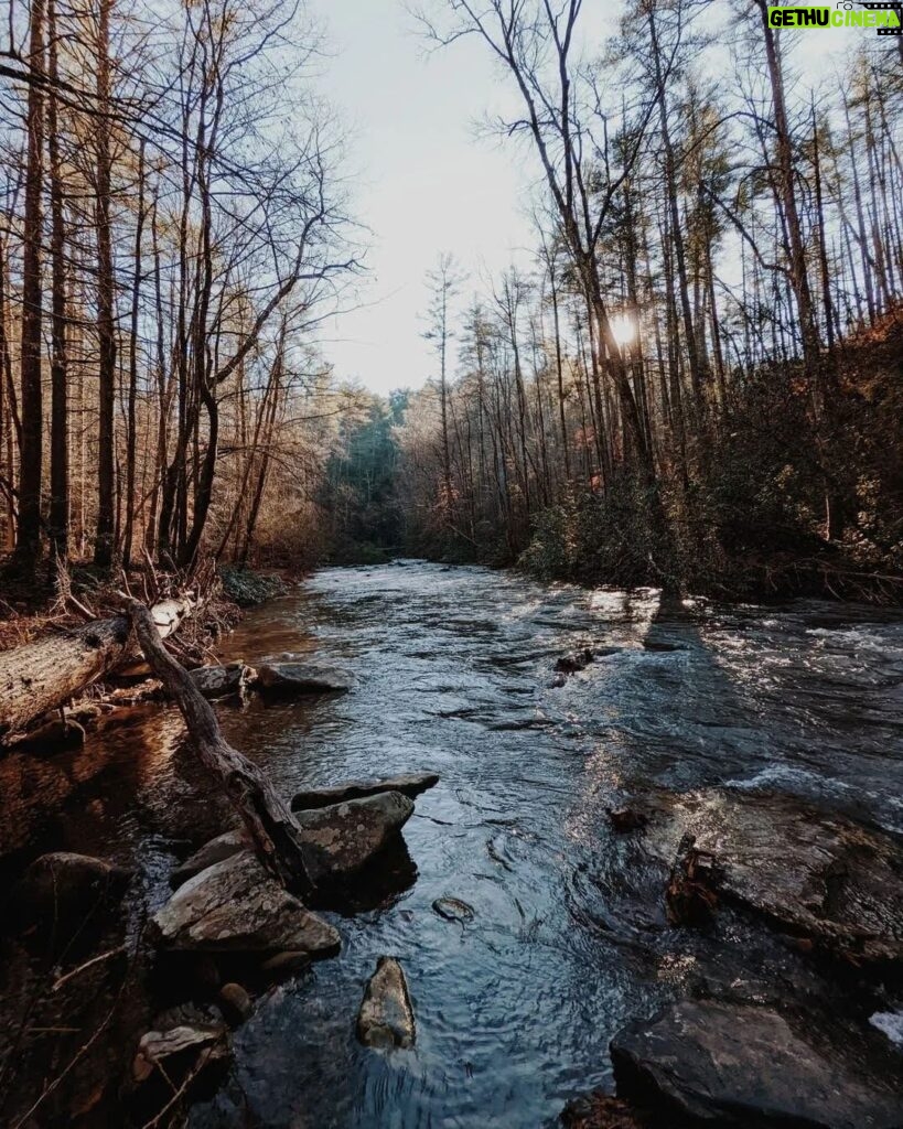 Sundar Pichai Instagram - Beautiful #TeamPixel photos of our stunning planet -- another reminder that we must protect it. #EarthDay 📷: @jeremiahbonds @miguellangell__ @themalibuartist @patrickkolts