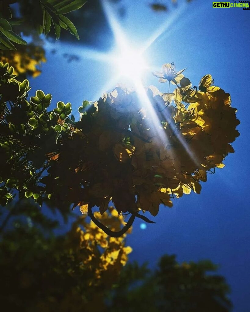 Sundar Pichai Instagram - Beautiful #TeamPixel photos of our stunning planet -- another reminder that we must protect it. #EarthDay 📷: @jeremiahbonds @miguellangell__ @themalibuartist @patrickkolts