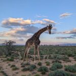 Sundar Pichai Instagram – These #TeamPixel photos from Googlers around the world make me want to get out and take some pictures for World Photography Day. :) Thanks to Evan, Harika, Lavanya, Benjamin, Yegor, Nikhil, Bryant, Stephan and Miguel.