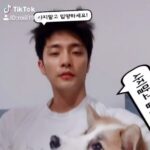 Sung Hoon Instagram - #산타집사#반려동물#틱톡