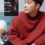 Sung Hoon Instagram - #숏확행 #나도틱톡커 #그레이트그레이 #틱톡