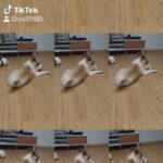 Sung Hoon Instagram - #딜레이스크린 #tlog #틱톡 #TikTok