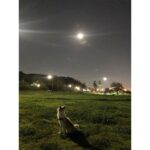 Sung Hoon Instagram - 다들 추석 잘 보내셨는가? 해림아 미안하다 살 쪘다....