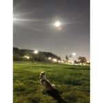 Sung Hoon Instagram - 다들 추석 잘 보내셨는가? 해림아 미안하다 살 쪘다....