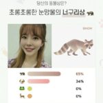 Sunny Instagram - 헐 대박ㅋㅋ 뭐야 말만이라도 기분좋아!! 웃는 사진이라 그런가?! 웃으면 복이와요~ 너구맄ㅋㅋ 내 개구리 어딨어~? 내년엔 행복하자!! 아자!!!!