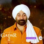 Sunny Deol Instagram - Paaji ne bola dekho, toh dekho. No excuses allowed. 😤 Watch this big hit, #Gadar2 streaming now on #ZEE5 #Gadar2OnZEE5 @iamsunnydeol @ameeshapatel9 @iutkarsharma @anilsharma_dir @anilsharmaprod @shaktimaan6963 @shamkaushal09 @mithoon11 @shabinakhanofficial @quadri.sayeed @simratkaur_16 @manishwadhwa.in @hellomontysharma @mrgravitas @zeemusiccompany @zeecinema @zee5global @zeestudiosofficial @gadarmovie_official @shariq_patel @manish_kalra_