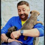 Sunny Deol Instagram - Fluffy Gaddi Pups 🐶🐾 #pupsofinstagram #shepherddogs #mountaindogs #reelsinstagram #dogsofinstagram #reelsindia #explore