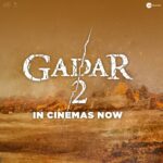 Sunny Deol Instagram - Your love for Gadar 2 has lit up our world! 🔥❤️ Book your tickets! (Link in bio) #Gadar2 in cinemas now. 🎞️ @zeestudiosofficial @gadarmovie_official @iamsunnydeol @ameeshapatel9 @iutkarsharma @anilsharma_dir @anilsharmaprod @shaktimaan6963 @mithoon11 @shabinakhanofficial @quadri.sayeed @simratkaur_16 @manishwadhwa.in @hellomontysharma @mrgravitas @zeemusiccompany @zee5 @zeecinema @zee5global