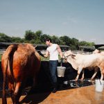 Suppasit Jongcheveevat Instagram – Me as a farmer 🐮