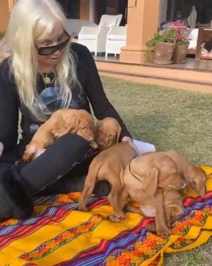 Susana Giménez Instagram - Disfrutando de una tarde divina de sol con los nuevos habitantes de la casa. ❤️❤️❤️❤️

#animalkigdom #doglover #susanagimenez #cute