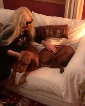 Susana Giménez Instagram - Rita se casa!!! 
🐶💍❤️