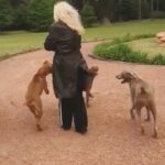 Susana Giménez Instagram - De vuelta en casa. Imposible no sacarlos a pasear ni bien llego! ❤️🐶 #doglove #susanagimenez #outdoors #home #perros Punta del Este, Uruguay