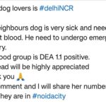 Swastika Mukherjee Instagram - Please help 🙏🏻 Contact: +91 79047 80052 @funandfur @dogs.lovers @dogsof.delhi_official @pfa.official
