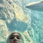 Taeyong Instagram - 귀여워 … 그냥 피드 해놓고 싶어서 .. 올려요 🦭🦭🦭