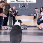 Tai Lopez Instagram - Should we get him a Lamborghini backup? #payitforward