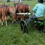 Tai Lopez Instagram - We've forgotten the old ways. How much horsepower is this?