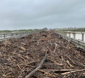 Taika Waititi Instagram - Aotearoa (NZ). Many of our communities have been devastated by Cyclone Gabrielle and it will take a lot to rebuild and recover. I just posted about a fundraiser this Sunday. There's also a link to donate in my bio. 100% of the proceeds will go directly to Te Tairāwhiti on the East Coast and Ngāti Kahungunu in Hawkes Bay, which have been hit particularly hard. There are other ways you can help and yes, other places were also badly affected - I'm just highlighting the area I come from. Mauri ora.
