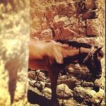 Taner Ölmez Instagram - Küheylan