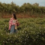 Tara Emad Instagram – Dans les champs de Chanel💘

In awe of these beautiful Jasmine flower fields in Grasse and of the process that ensues after the jasmine flowers are picked to make Chanel fragrances. Grasse, Provence-Alpes-Cote D’azur, France