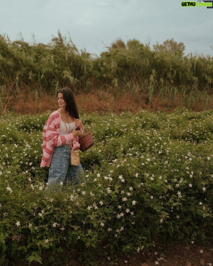 Tara Emad Instagram - Dans les champs de Chanel💘 In awe of these beautiful Jasmine flower fields in Grasse and of the process that ensues after the jasmine flowers are picked to make Chanel fragrances. Grasse, Provence-Alpes-Cote D'azur, France