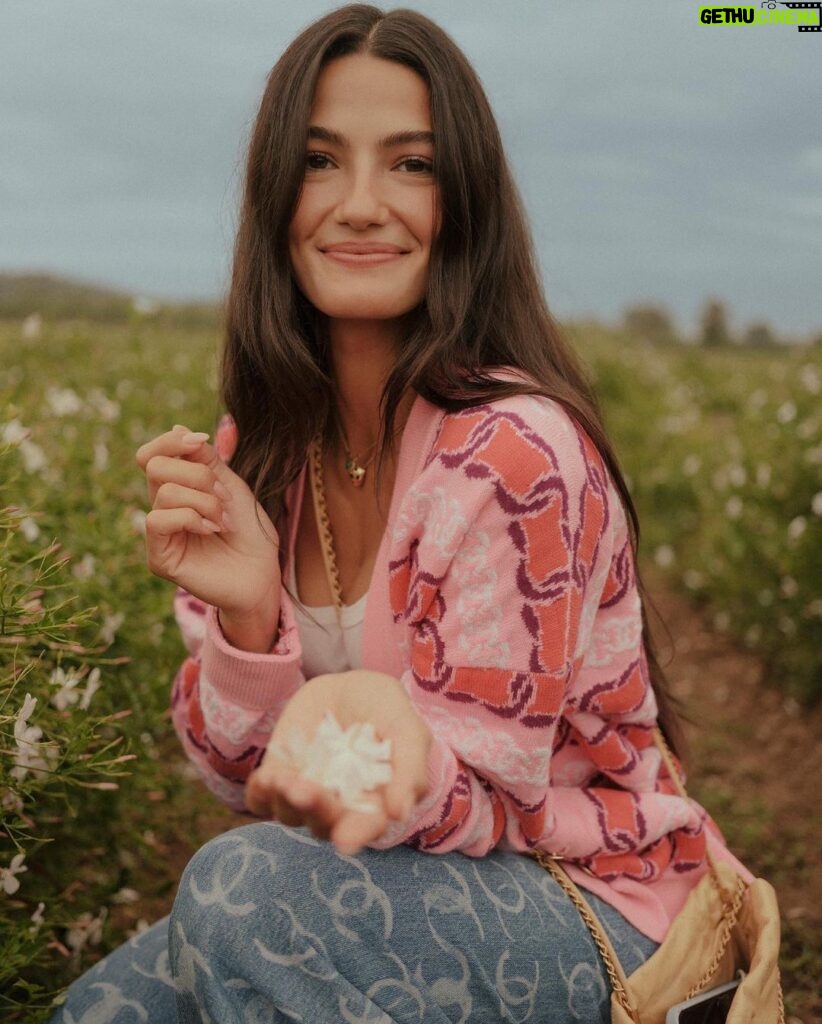 Tara Emad Instagram - Dans les champs de Chanel💘 In awe of these beautiful Jasmine flower fields in Grasse and of the process that ensues after the jasmine flowers are picked to make Chanel fragrances. Grasse, Provence-Alpes-Cote D'azur, France