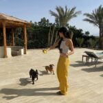 Tara Emad Instagram - حب ♡