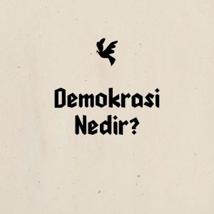 Tarkan Instagram - #Demokrasi
